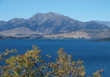 Wanaka et l’île Stewart